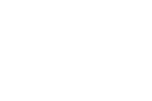 LOGO BIANCO ABA FOR DISABILITY